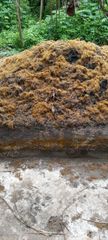Crude palm oil - Image 3