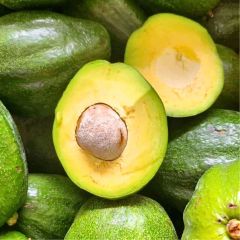 Avocado  Avocado is a high-quality, nutrient-rich fruit plant that produces delicious and creamy avocados. With its supe - Image 2