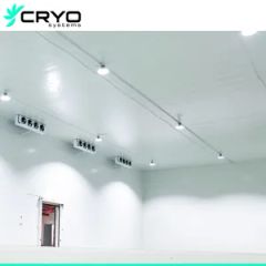 Avocado Halal Chocolate Products Cold Room AC Cold Room for Salmon Ice Cream Storage Cold Room - Guangzhou Cryo Systems Refrigeration Equipment Co., Ltd.