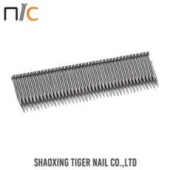 DIN ISO Tiger Nail Corrugated Certon Pallet Umbrella Roofing Nails Staple - Shaoxing Tiger Nail Co., Ltd.