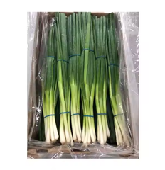Green Onion - Image 2