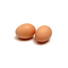 Fast Delivery Ross 308 Hatching Eggs for sale Premium Quality and trusted source for hatcheries order wholesale - Image 2
