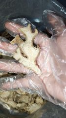 Indonesian Elephant Dried Ginger - Image 4