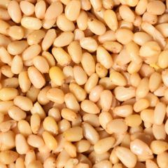 Fresh Raw Pine Nuts for Sale Bulk Natural Healthy Snack Premium Quality - Image 5