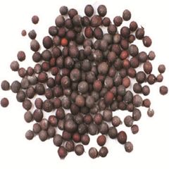 Black Mustard Seeds Single Herbs Spice High Quality Mustard Seeds Custom Packaging Wholesale Black Mustard seed Trusted Supplier - Image 6