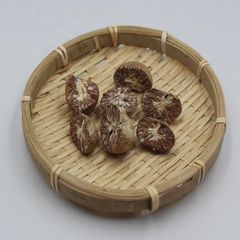 Supply High quality dried Betel Nut from Vietnam raw material fast delivery time best price – product photo 4, product detail gallery