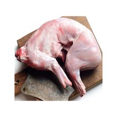 Hot Sales Fresh Frozen Whole Rabbit Meat from Poland High Quality Supply - Image 4
