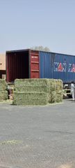 Premium Egyptian Alfalfa Hay Bales - Image 5