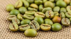 Premium Green Coffee Beans Wholesale | Bulk Arabica Coffee and Robusta Coffee Beans - Image 1