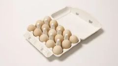 Pulp Egg Tray Making Machine - Image 5