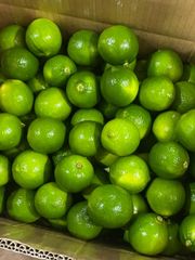Seedless Lime Sour Taste Natural Seasoning Size S M L For Cooking From Vietnam - Image 4