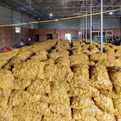 New 2023 Crop Vietnam Fresh Ginger Vietnam Spices Old Ginger 250g Ready For Delivery OEM Service - Image 5