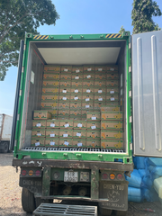 Get Your Fresh Bananas Exported: Find the Best Fruit & Cavendish Banana Export Services Today - Image 5
