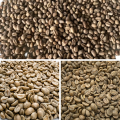 ARABICA CATIMOR GREEN BEANS FULLY-WASHED Premium Quality with Small MOQ from Highland Low Price Central of Vietnam – product photo 5, product detail gallery
