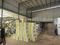 Fresh green cavendish banana from Vietnam at competitive price - Image 6