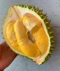 The Best Fresh Durian Ri6, Durian fruit , Frozen Durian, Organic Packed In Box Vietnam Manufacturer – product photo 5, product detail gallery