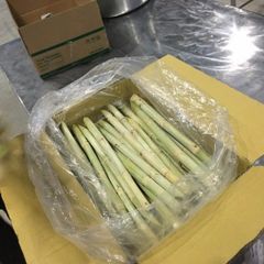 (HOT SALE 2023) Frozen IQF Sugar Cane Peeled Best Price From Vietnam - Image 3