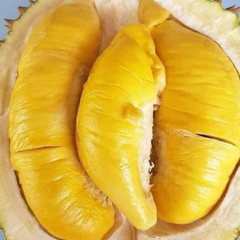 High Quality Fresh Durian Ri6 Eat Directly Sweet And Fatty Taste Organic Packed In Box Fresh Durians – product photo 5, product detail gallery