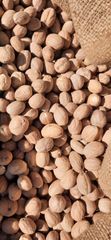 High Quality Natural Cardamom Dried Nutmeg Natural Organic Dried Nutmeg at Least Price Made In Vietnam - Image 2