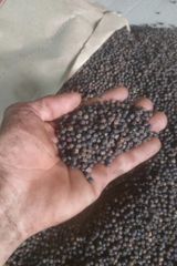 organic Vietnam black pepper super flavorful – product photo 2, product detail gallery