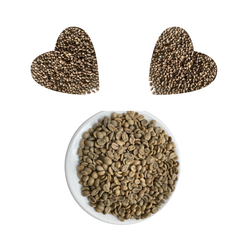 ARABICA CATIMOR GREEN BEANS FULLY-WASHED Premium Quality with Small MOQ from Highland Low Price Central of Vietnam – product photo 2, product detail gallery