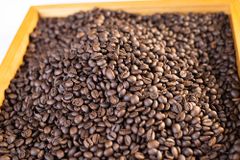 Coffee Bean Arabica Good Coffee Manufacturing Factory Price Roasted Bean Arabia Premium Grade 16-18 60 Kg Honey – product photo 6, product detail gallery