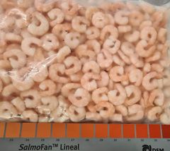 Frozen Cooked PD Shrimp Frozen Cooked Peeled and Deveined Shrimp With Vanamei, Blacktiger Shrimp, Cattiger Shrimp Variety - Image 6