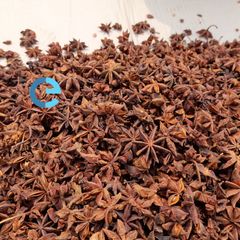 STAR ANISE SPRING VIETNAM ANISEED FACTORY PRICE HIGHLY RECOMMEND FOOD SEASONINGS PEPPER DESICCATED COCONUT - Image 5