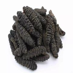 Price at farms of dried sea cucumber best quality for export - Image 1