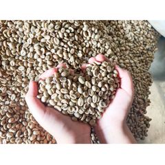 100% Natural Color Premium Coffee Supplier Green Coffee Beans Robusta Green Coffee From Vietnam - Image 3