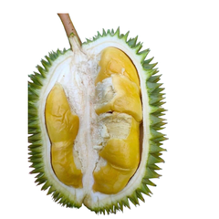 The Best Fresh Durian Ri6, Durian fruit , Frozen Durian, Organic Packed In Box Vietnam Manufacturer – product photo 2, product detail gallery