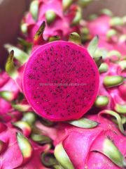 White Dragon Fruit Cheap Price Fresh White Dragon Fruit from Vietnam - Image 5