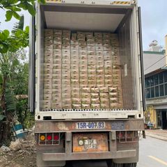 New 2023 Crop Vietnam Fresh Ginger Vietnam Spices Old Ginger Exporter Ready For Delivery OEM - Image 6