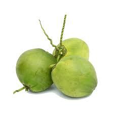 Cheap Fresh green young coconut top quality best price coconut for wholesales made in Ben Tre Vietnam – product photo 2, product detail gallery