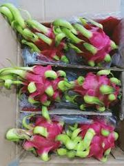 The Best Fresh Tropical Fruit Of Vietnam Organic Fruit Dry Fruit Frozen Dragon Fruit The Fruit For Heathy - Image 6