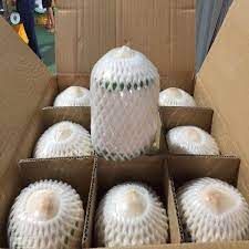 Cool Coconuts Water Coconut Green Coconut Packing Box Fresh Coconut From Vietnam - Image 3