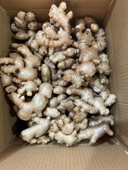Good Quality Ginger Keep Dry Or Refrigerated Old Organic Packed In Box , Dried Ginger To Thailand, Turkey, UAE, Dubai - Image 2