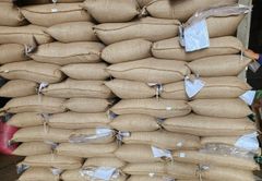 Whosale 2023 Premium Coffee Bean Green Product Green Bean Arabica From Viet Red Coffee Vietnam - Image 4