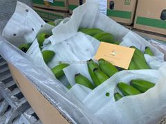 Fresh green cavendish banana from Vietnam at competitive price - Image 4