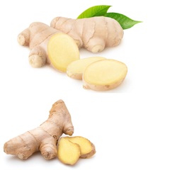 Good Quality Ginger Keep Dry Or Refrigerated Old Organic Packed In Box , Dried Ginger To Thailand, Turkey, UAE, Dubai - Image 1