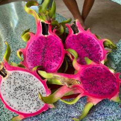 Vietnam Fresh Dragon Fruit Wholesale Pitaya Fruit Vietnam for Export Red/White Flesh - Image 2