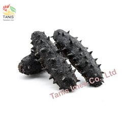 Natural sea cucumber high quality, dried sea cucumber rich nutrition wholesale price - Image 5