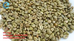 Vietnam Robusta Green Coffee Beans - High Quality Robusta Coffee good price by Vietnam exporters seasoning – product photo 2, product detail gallery