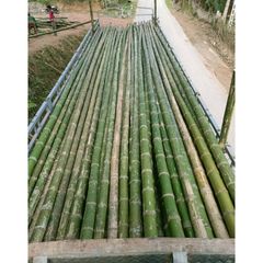 Factory Wholesale Cheap Price Natural Artificial Bamboo Poles for Indoor Outdoor Decoration - Image 5