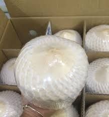Cool Coconuts Water Coconut Green Coconut Packing Box Fresh Coconut From Vietnam - Image 2