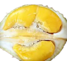 The Best Fresh Durian , Tropical Fruit, fresh durian fruit for sale Organic fruits, Durian Freeze Dried Fresh Durian Malaysia - Image 3