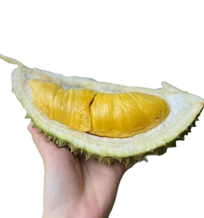 The Best Fresh Durian , Tropical Fruit, fresh durian fruit for sale Organic fruits, Durian Freeze Dried Fresh Durian Malaysia - Image 4