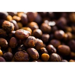 100% Natural Color Premium Coffee Supplier Green Coffee Beans Robusta Green Coffee From Vietnam - Image 2