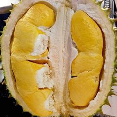Best Selling Frozen Fresh Ri6/Monthong Durian in Vietnam 2023/ Competitive Price Frozen Fresh Durian – product photo 2, product detail gallery