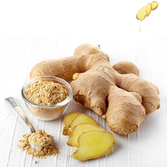 Best Price Ginger Ginger Old Fresh Ginger Dried Ginger Organic Ginger Powder Made In Vietnam – product photo 3, product detail gallery